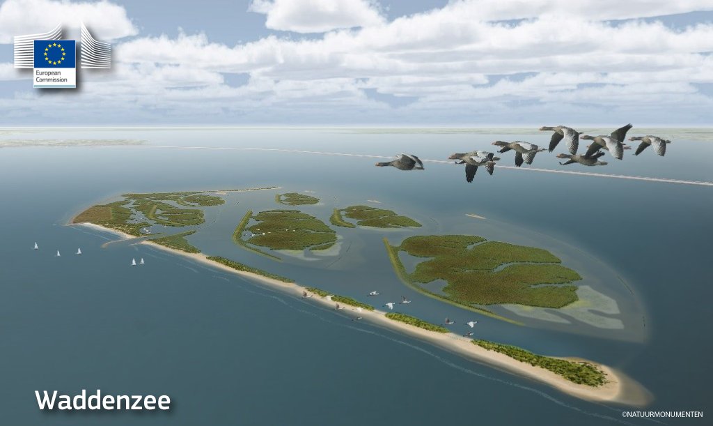 EU_MARE's tweet photo. Our second success story comes from the #WaddenSea, home to #Natura2000 sites &amp; a #UNESCOWorldHeritage site across 3 countries 🇳🇱🇩🇪🇩🇰. The Dutch #MPA protect natural assets &amp; promote more sustainable activities in the 2 key sectors of the area: #aquaculture &amp; #ecoengineering 1/3 https://t.co/BOV8UsBy9J