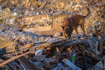 Посмотреть изображение в Твиттере