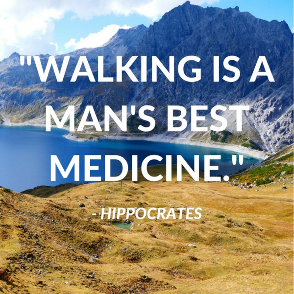Sustain_PROMISE's tweet photo. Has walking healed you? https://t.co/HAVXVPBuyq