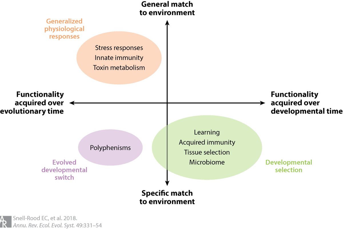 Emilie Snell-Rood (@snellroodlab) on Twitter photo Types of plasticity most likely to be adaptive in novel environments are also more likely to come with costs. Really enjoyed writing this review with <a href="/megan_kobiela/">Megan Kobiela PhD</a> @ShephardAM and <a href="/ksikkink/">Kristin Sikkink</a> annualreviews.org/doi/full/10.11… Types of plasticity most likely to be adaptive in novel environments are also more likely to come with costs. Really enjoyed writing this review with <a href="/megan_kobiela/">Megan Kobiela PhD</a> @ShephardAM and <a href="/ksikkink/">Kristin Sikkink</a> annualreviews.org/doi/full/10.11…