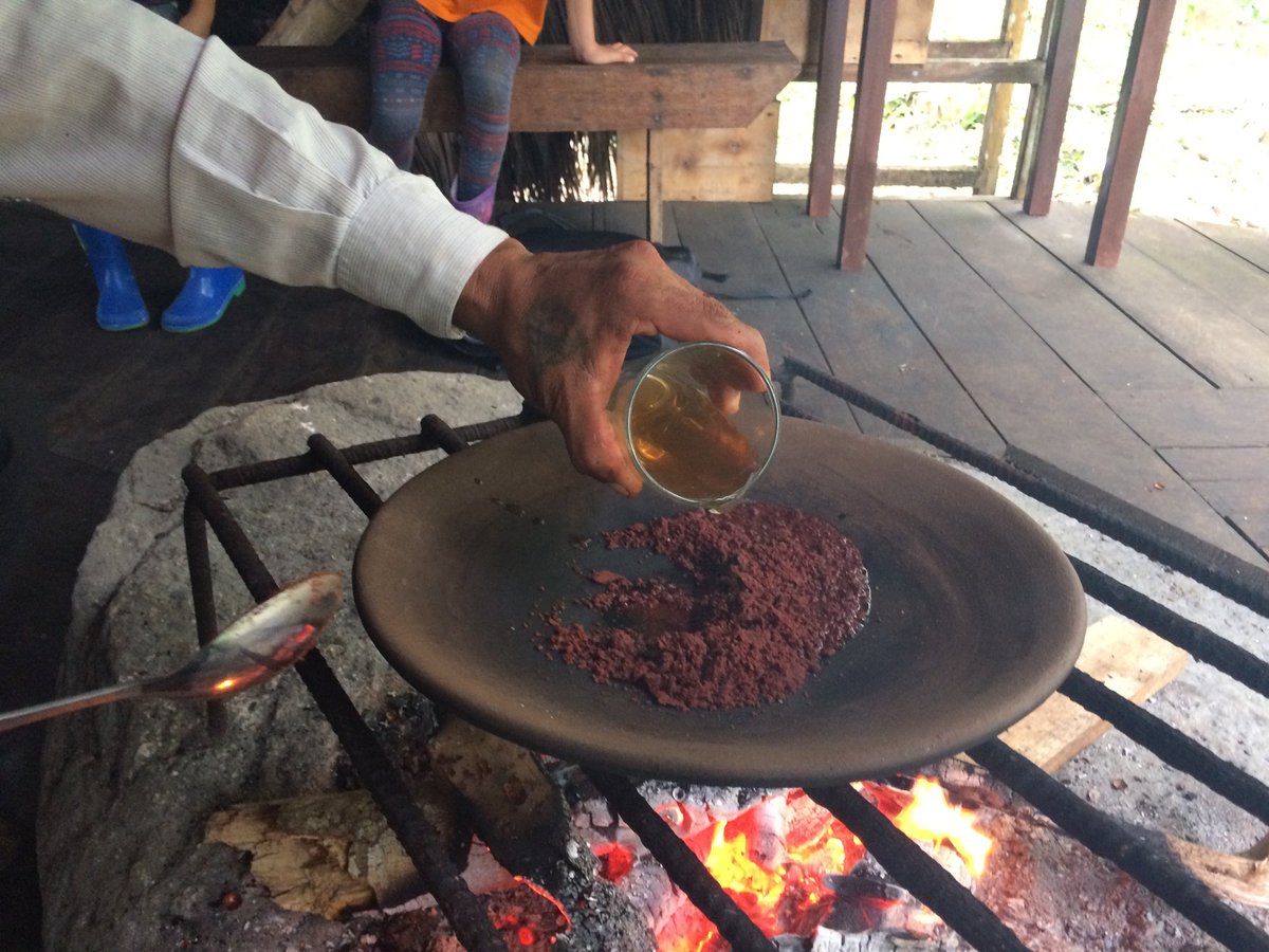 DestEcuador's tweet photo. Love your chocolate? Come visit its birthplace - Ecuador's Amazon! https://t.co/6eXUJWVeZX #amazingecuador #amazon #cacao via @scinewscom https://t.co/h8gBydyXrv