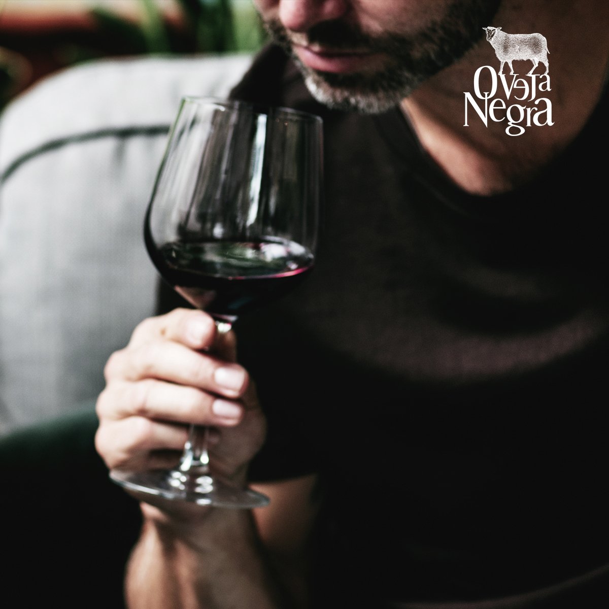 Llegó noviembre y nada como disfrutarlo con un vino Single Vineyard Syrah #VinosOvejaNegra #Wine