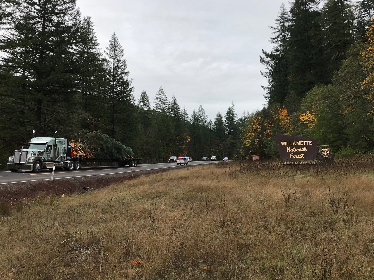 KSForestService's tweet photo. The @USCapitolTree is on the way!!! Thanks @willametteNF for sharing such an amazing tree with our Nation! You can see the Tree when it stops in Perry #Kansas on Nov. 20!

#ChristmasTree #USCapitolTree
#KSForestService #WeLoveTrees https://t.co/DeybRv5ywW