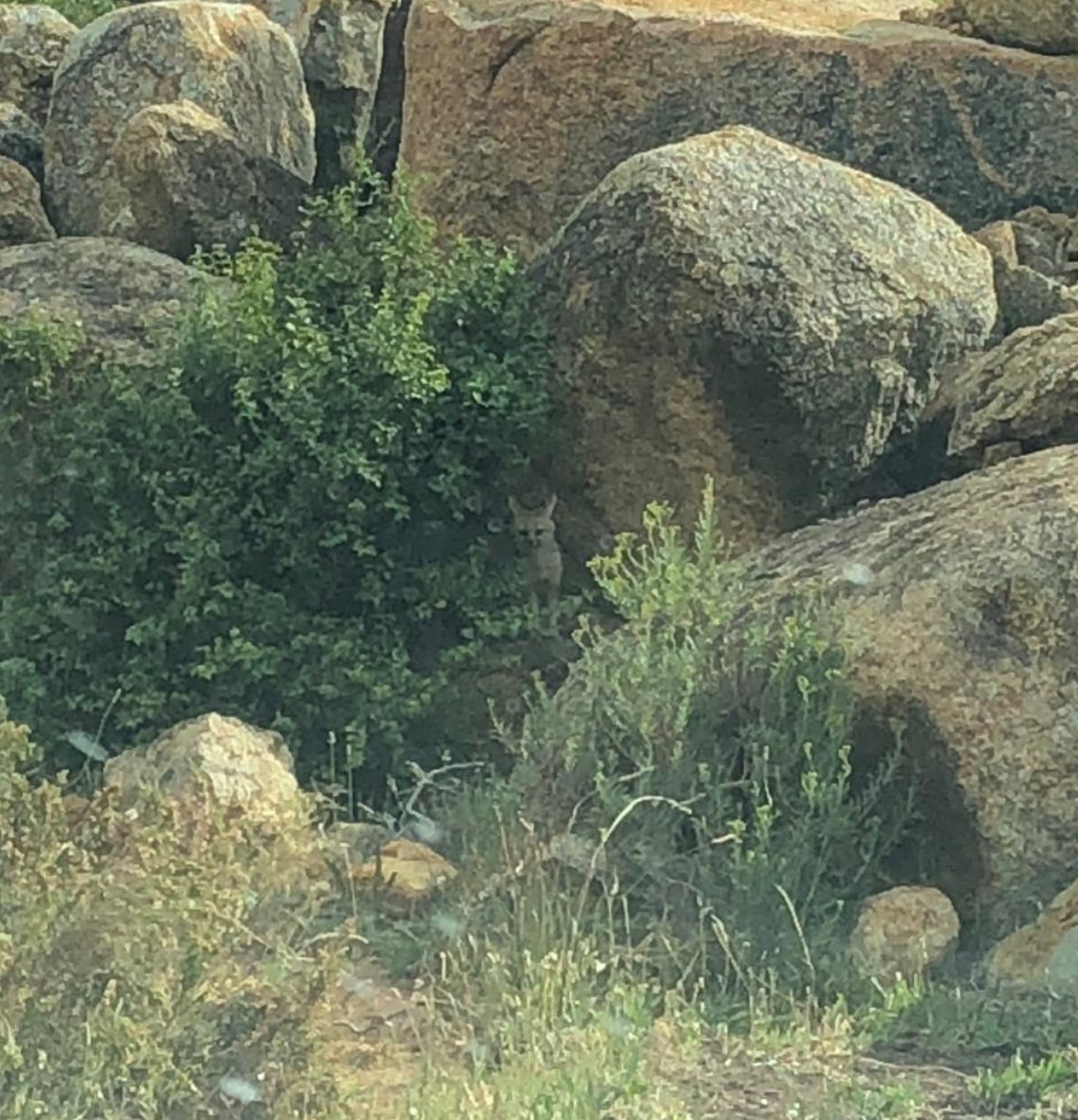 Lourensford Wine tweet media