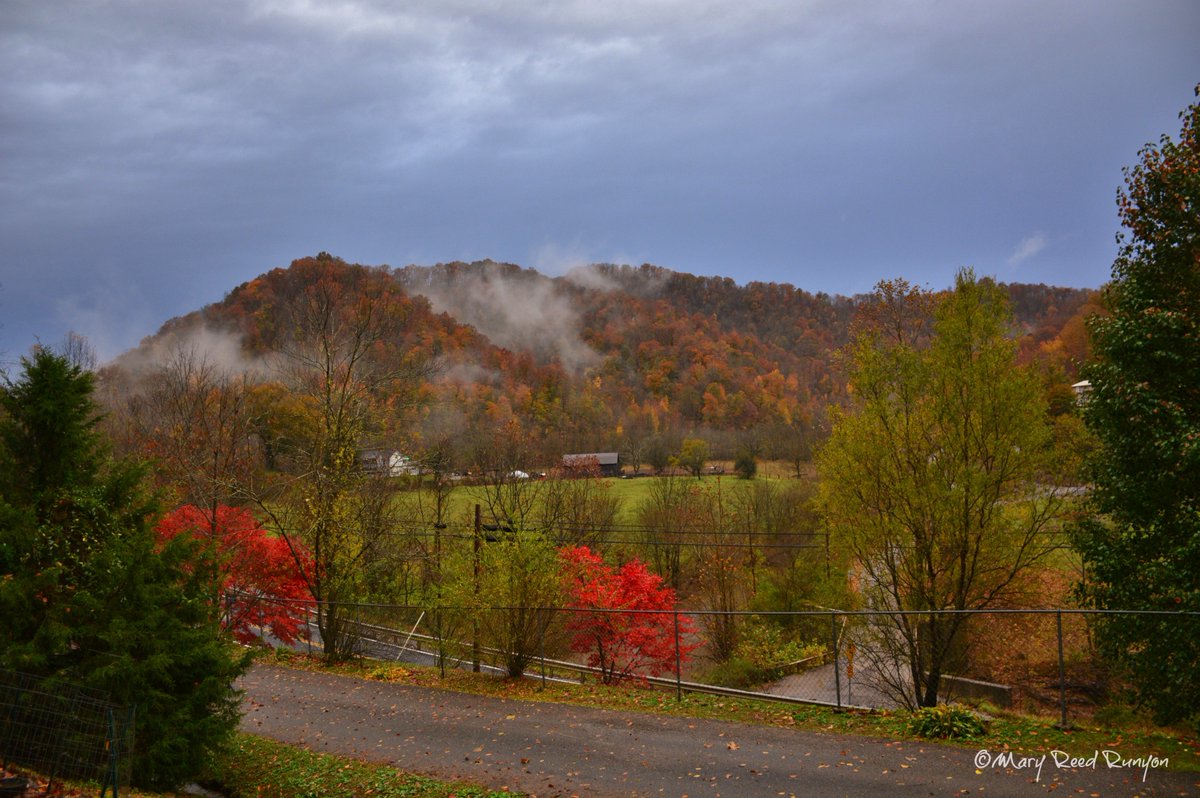 Mary Reed Runyon📷 tweet media