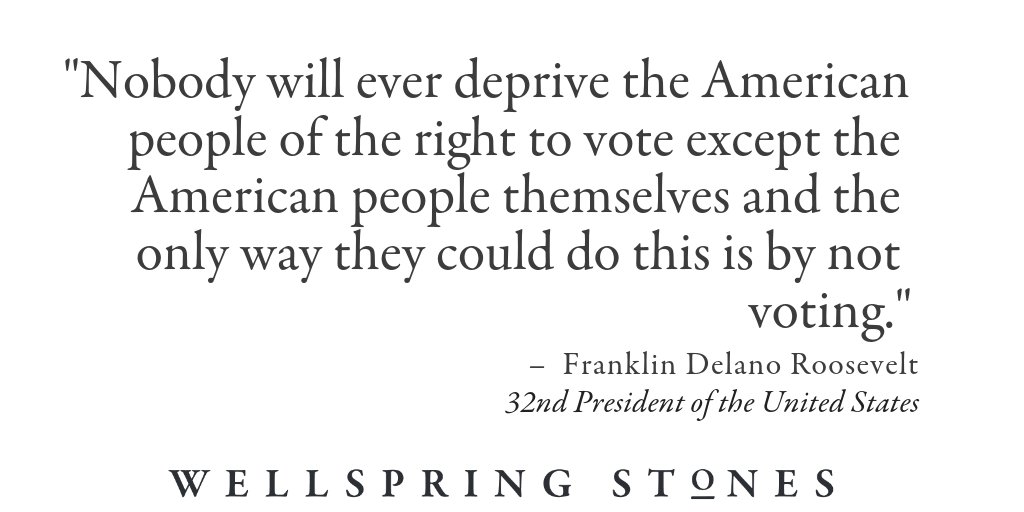 WellspringStone's tweet image. I vote bec a sexual assaulter was elevated 2 the Supreme Court bec children are in cages &amp;amp; being shot in school bec we have a WH Russian puppet bec we've crooks running our government bec voting rights r under assault &amp;amp; being suppressed. Why are you voting? #GoVoteBlue #VoteDem