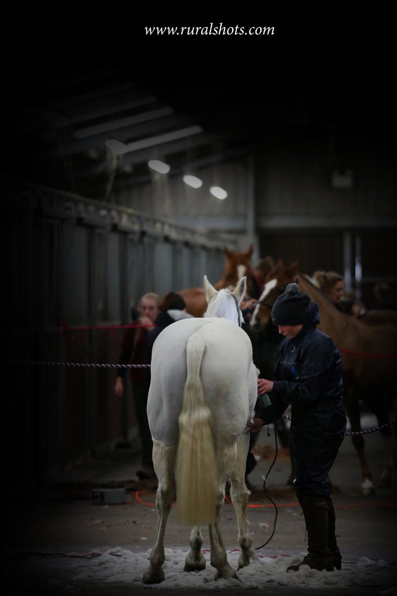 Big MIND clipathon tweet media