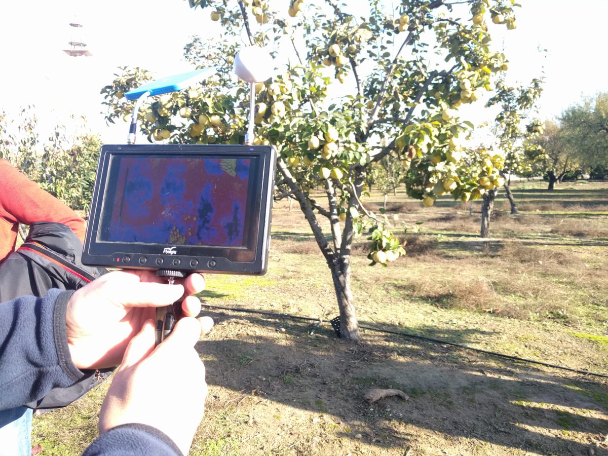 AgTechAndalucia's tweet photo. Hoy nos han visitado un grupo de 30 agricultores y 4 investigadores procedentes de un Centro de Transferencia del norte de Bélgica para conocer el proyecto #SmarAGServices ✅📲Hemos organizado unas jornadas en @ETSIASevilla donde han podido ver los prototipos diseñados 🔝😉 https://t.co/Zm2MQ6ZSrc