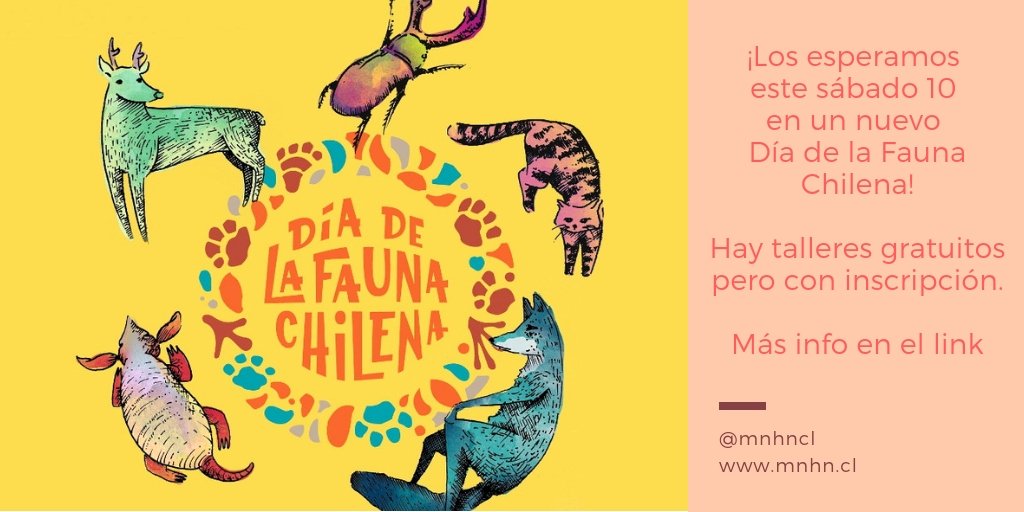 MNHNcl's tweet image. En este #DiadelaFaunaCL, organizado por los amigos de @JaneGoodallCL, hay un montón de talleres GRATIS, pero que requieren inscripción. 
Revísenlos acá 👉🏻 bit.ly/2zBNX3E