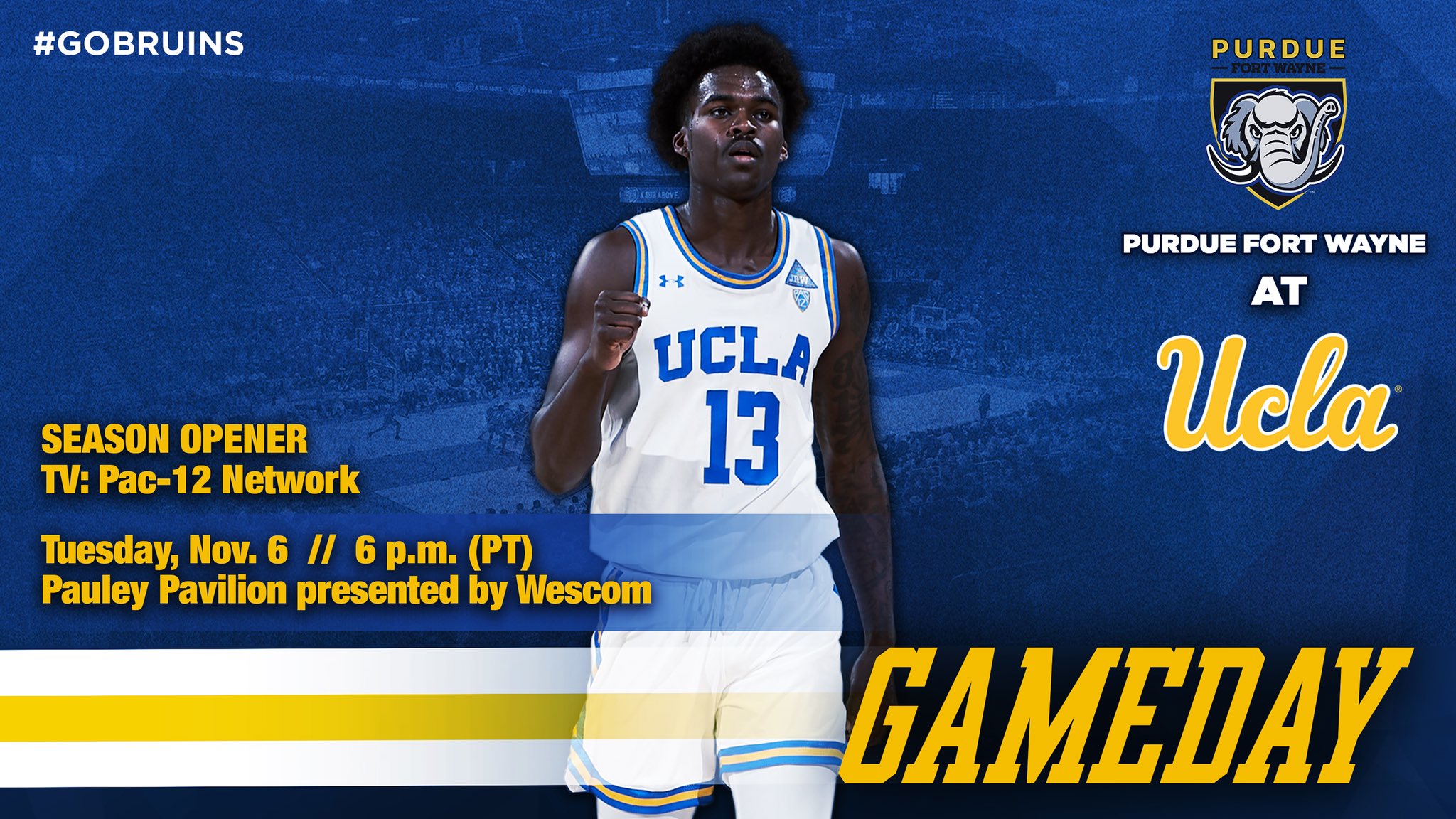 UCLA Sports Camps (UCLASportsCamps) / Twitter