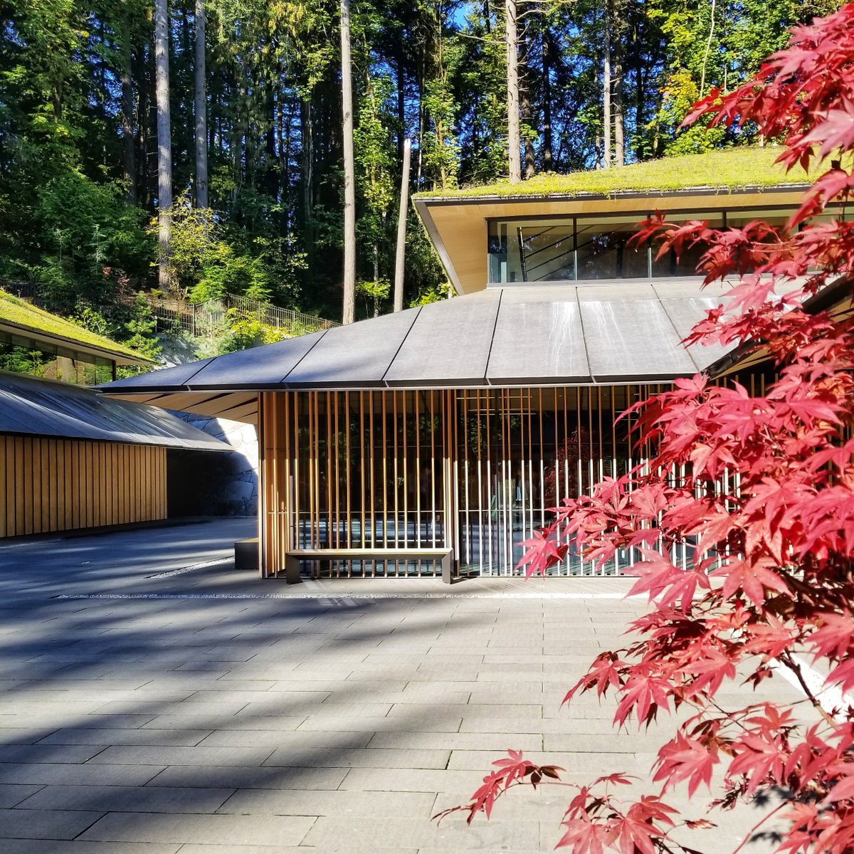 HT_escape's tweet image. When you think of Portland you usually think of great food, and the great outdoors. Check out the unexpected side of Portland: httravelescape.com/2018/11/04/the…