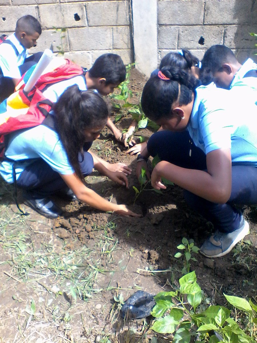 cbitelsamaribel soy@fundabitaragua tweet media
