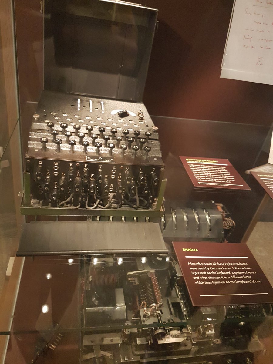 Dr Áine MacDermott tweet media