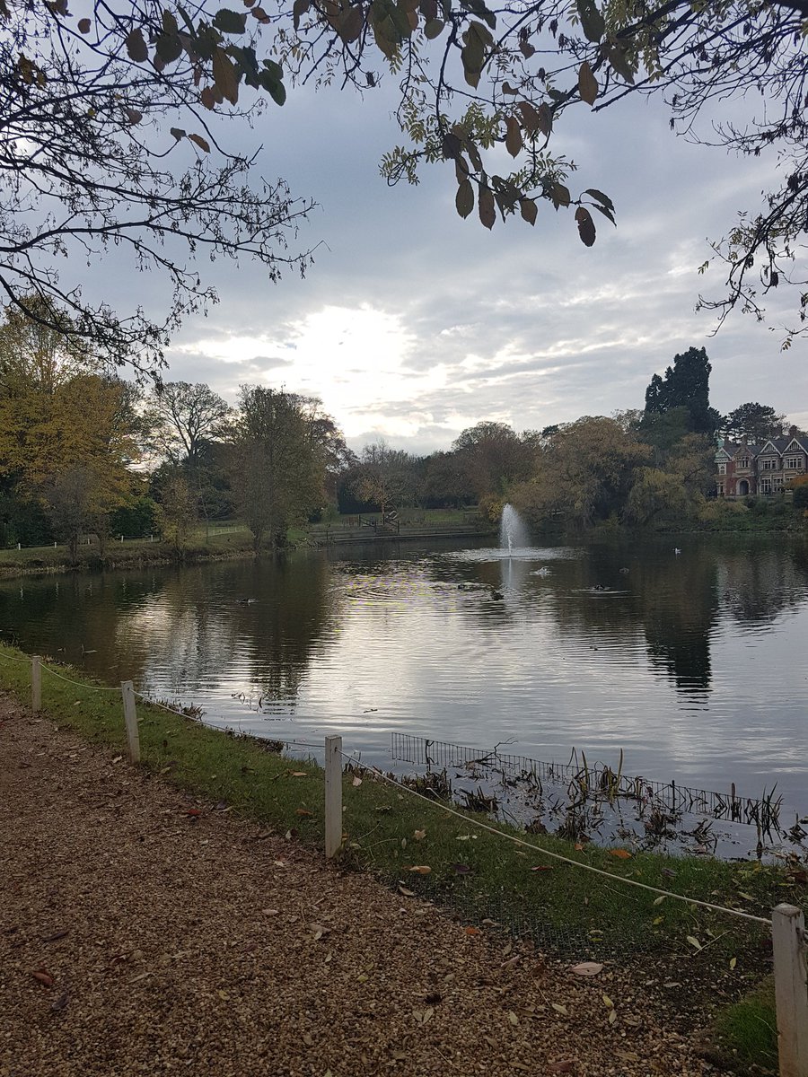 Dr Áine MacDermott tweet media