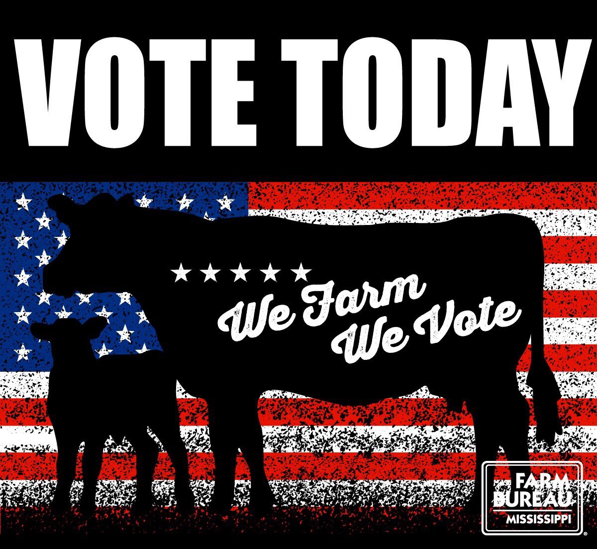 RepEvans45's tweet photo. People are talking and I hear y’all. We need a farmer- not a lawyer- with everyday common sense representing us in Washington. I’m proud to be the only farmer 👨‍🌾 running for Congress in Mississippi #VoteTodayforFarmerEvans #ImForBigCountry #EvanstoDC #CountrytoDC #MS03 https://t.co/nVCzv7gSHz