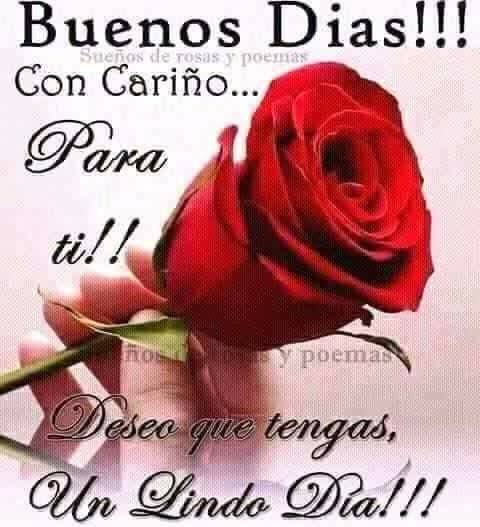 Ƈιмαяια on X: @Ceci20051003 Hola hermosa! 🤗🤗 buenos días que