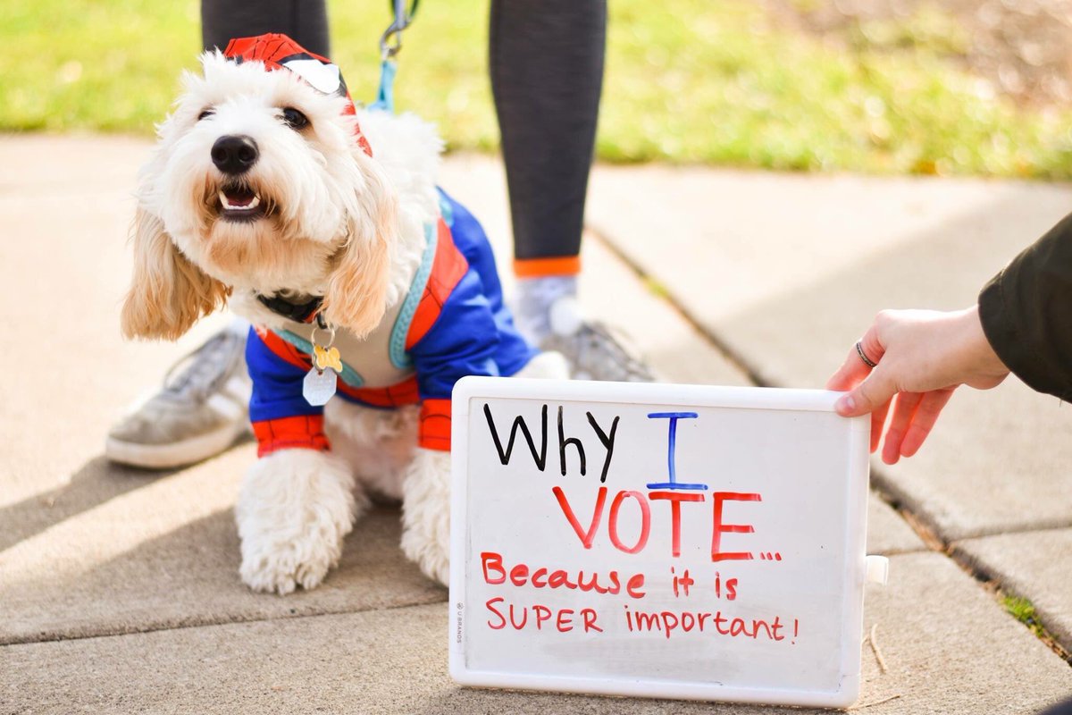 UnitedWsu's tweet photo. It’s Election Day! Go vote! Make your voice heard. This little pup wants you to know your vote matters! https://t.co/9k2rVbgota