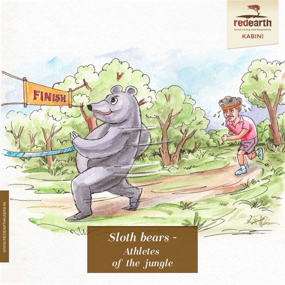 redearthkabini's tweet photo. Despite their somewhat awkward appearance, sloth bears can run pretty fast. Thanks to their huge feet and enormous claws, they can gallop faster than you and I can run!

#keepraceshumane #slothbearbolt #RedEarthKabini https://t.co/FCdS7GtEgA
