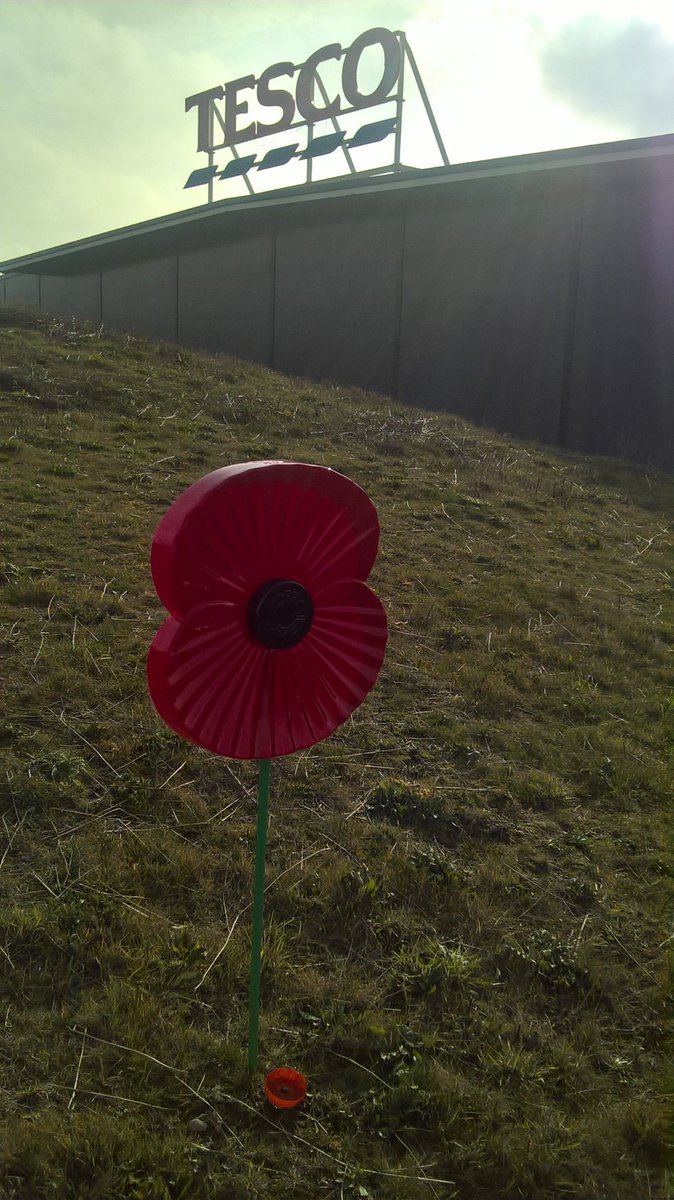 ccgemma2's tweet image. Our #Tesco Community Poppy field is taking shape @BicesterTesco  Children from Chesterton and Glory Farm primary schools started the 'planting' today.