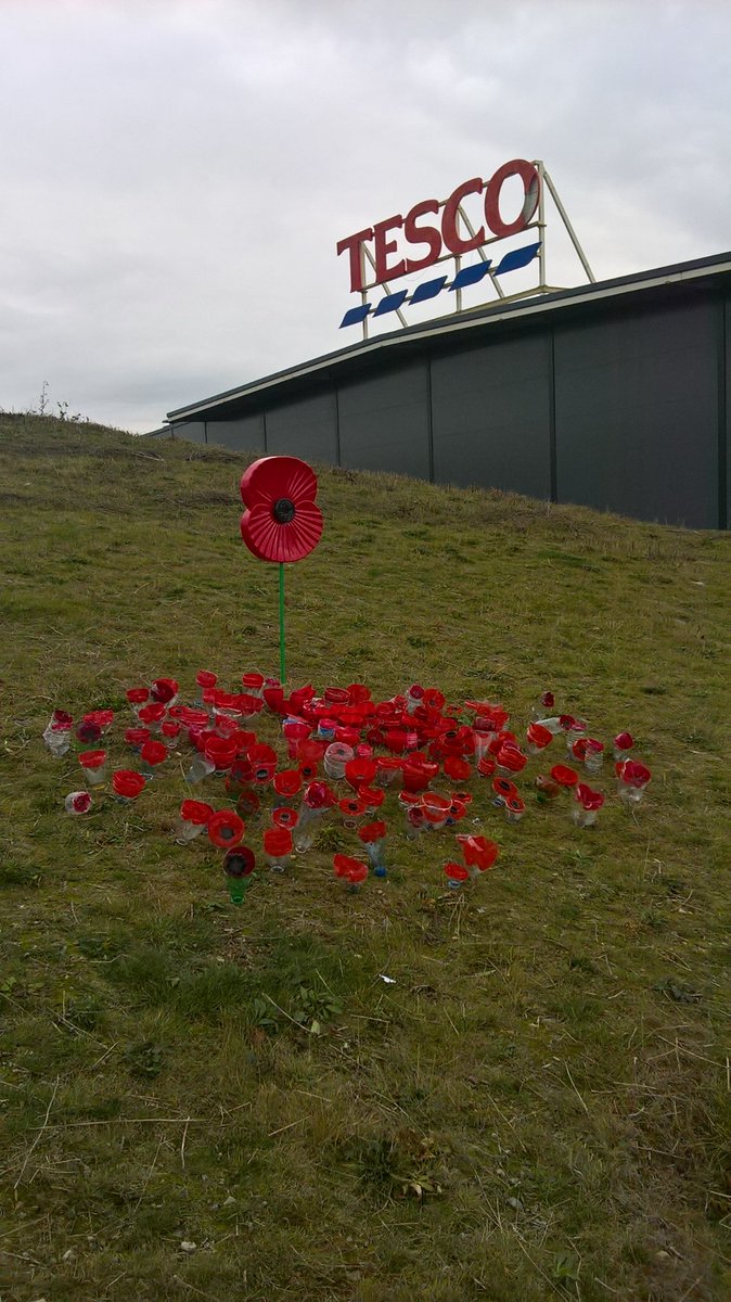 ccgemma2's tweet image. Our #Tesco Community Poppy field is taking shape @BicesterTesco  Children from Chesterton and Glory Farm primary schools started the 'planting' today.