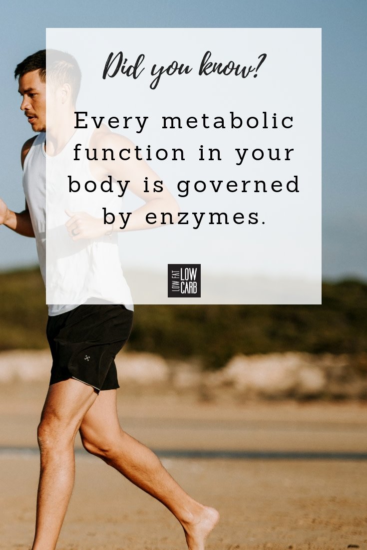 LowFatLowCarb's tweet photo. Find out more about Enzymes ➡️ https://t.co/8lWqPqVPBX 

“Your digestive system, immune system, bloodstream, liver, kidneys, spleen, and pancreas, as well as your ability to see, think, feel, and breathe, all depend on enzymes.” https://t.co/JTD0pSaQuz