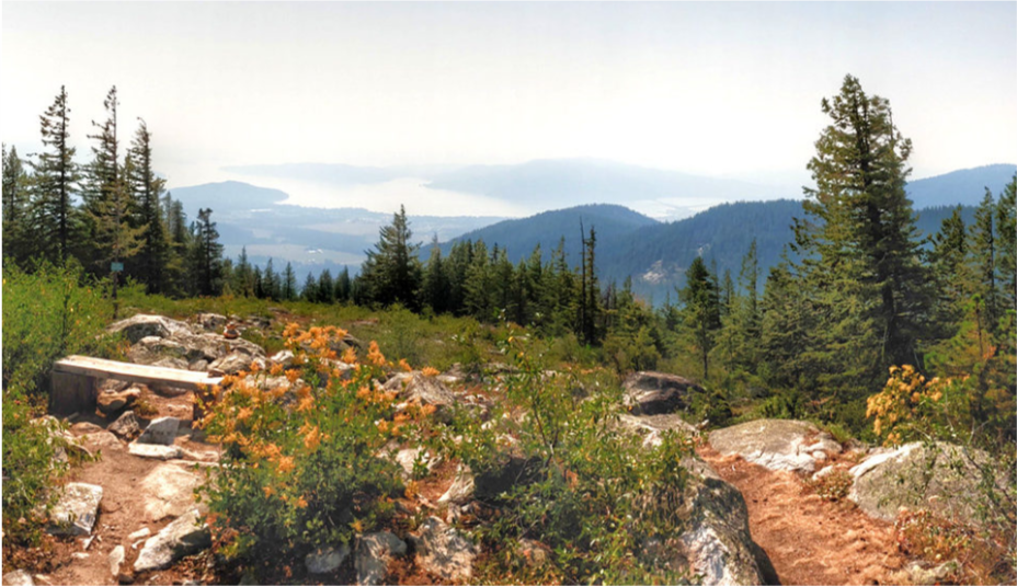 visitidaho's tweet photo. 5 Outdoor Reasons to Vacation In North Idaho https://t.co/fCxv8EFftb @NA_Traveller https://t.co/GHM9hF43MO