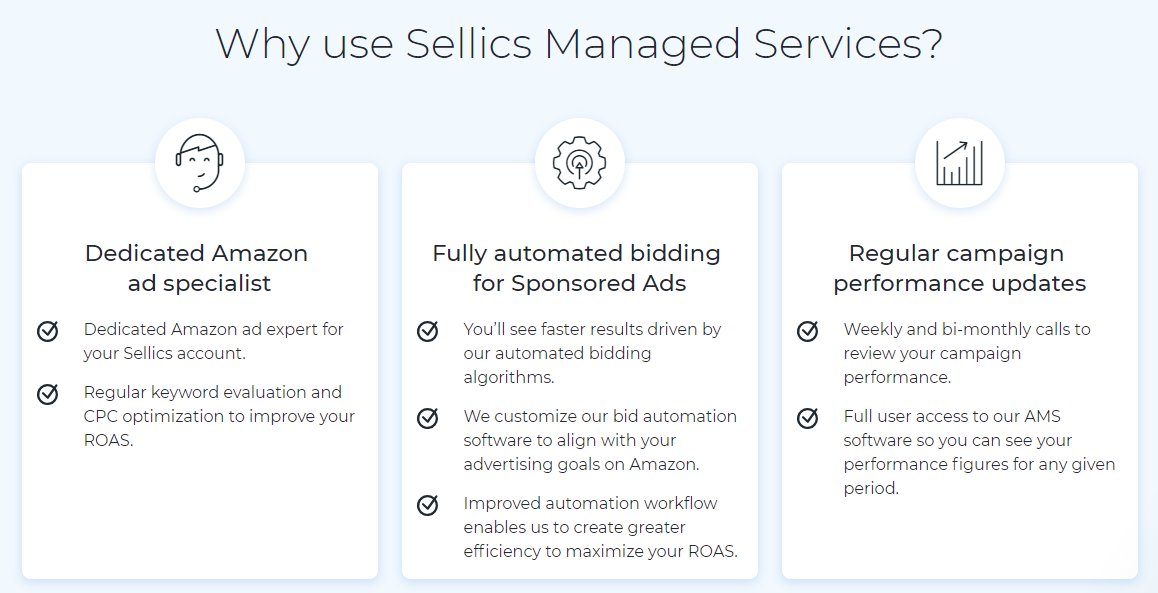 Sellics Review