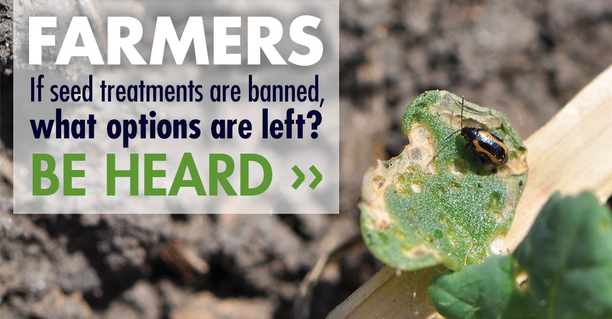 ccga_ca's tweet photo. FARMERS - Have you heard about the proposed ban of 2 seed treatments? 
You have ONE week left to tell the PMRA if you feel seed treatments are a valuable product on your farm. Be heard! 
Share and send this email today: https://t.co/V8s0lL2YqW #CdnAg https://t.co/IbEFtUw77I