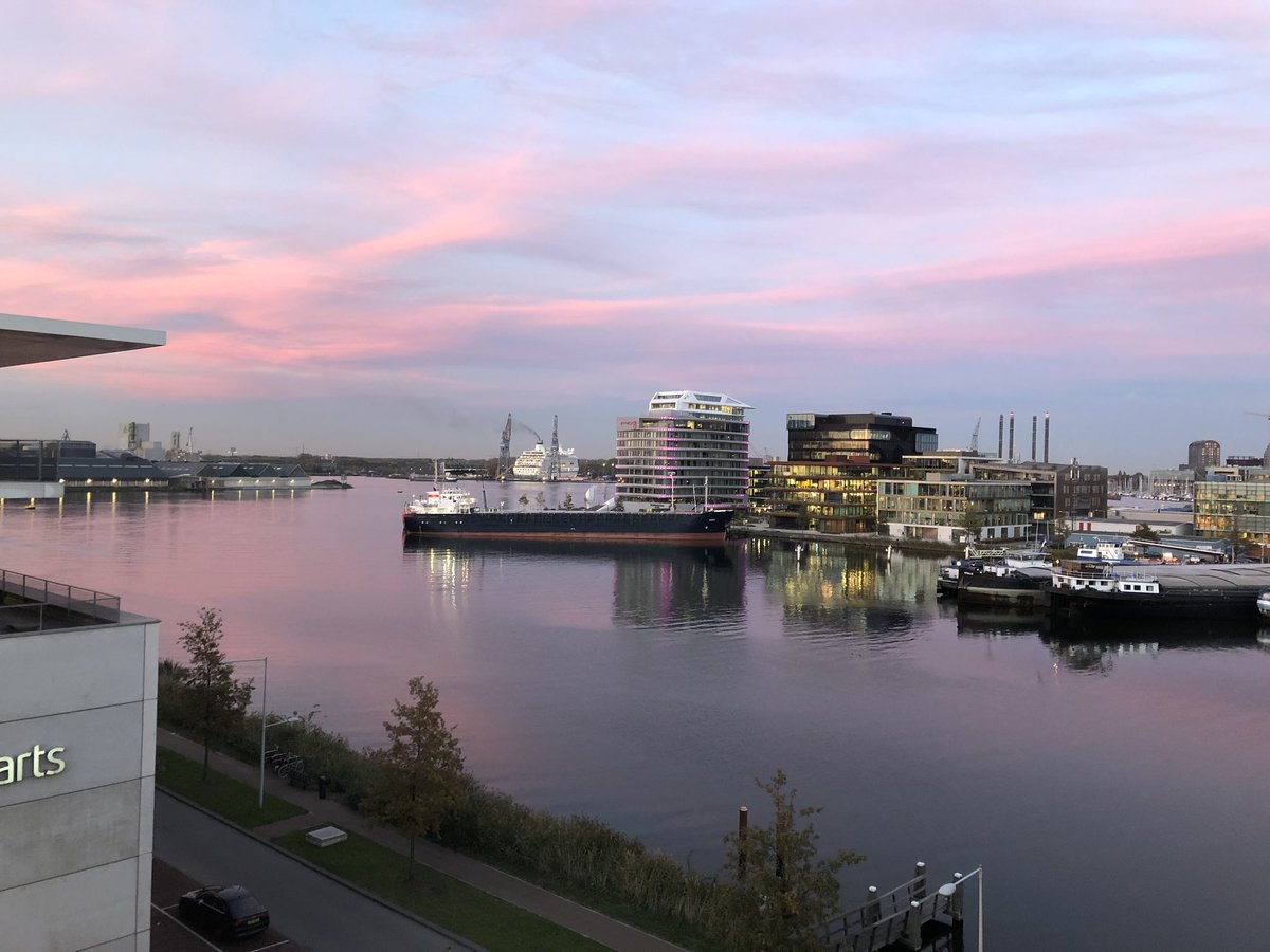 Kantoorzonnetje in de houthavens