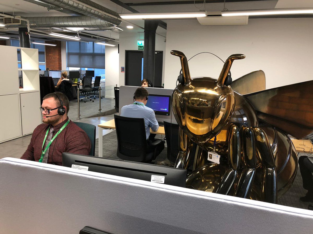 CarFinance247's tweet photo. Day 2 - AuBee our new-bee is training within the academy! 
As well as making new friends, AuBee has also been learning a lot about what it means to be #247People. Like AuBee, we aim to:
- Bee number 1 🐝☝️
- Fly high ✈️🚀
- Set new standards 💪
#BeeInTheCity #Manchester https://t.co/92iX5fvGIE