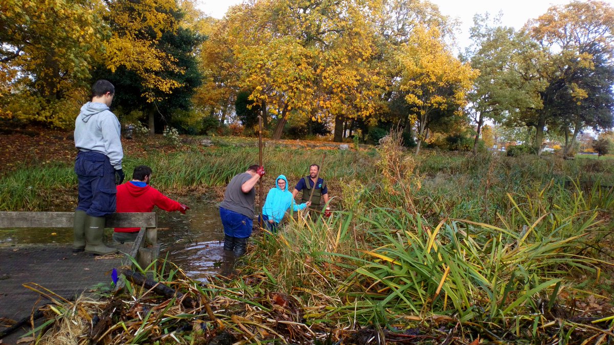 TCVMerseyside's tweet photo. Whitby Park Green Gym hard at it clearing the main pond of excess weed with @ActiveCheshire @merseyforest @Go_CheshireWest @TCVGreenGym @TCVtweets https://t.co/qiOLyEYeAN