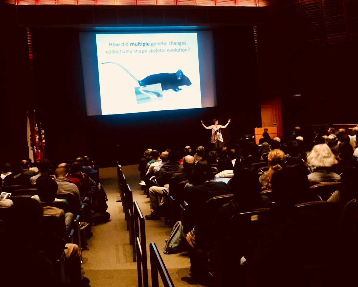 batevodevo's tweet photo. Welcome back and wonderful projects!!! @UCSDCooperLab @harvardmed #evodevo #genetics #tabinlab https://t.co/OnvvPYXl0q https://t.co/lFgSSgFhSO