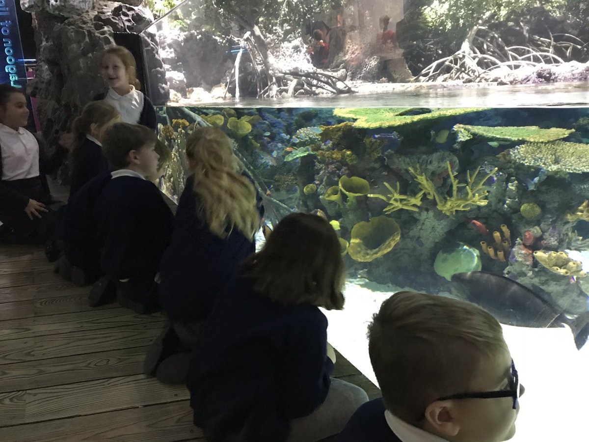 Harts_4J's tweet photo. @Harts_4J @Harts_4M visited The Deep today, a fantastic day of discovery of what lies below the ocean’s waves. @hartsholmeacad https://t.co/RMS9sifmlu