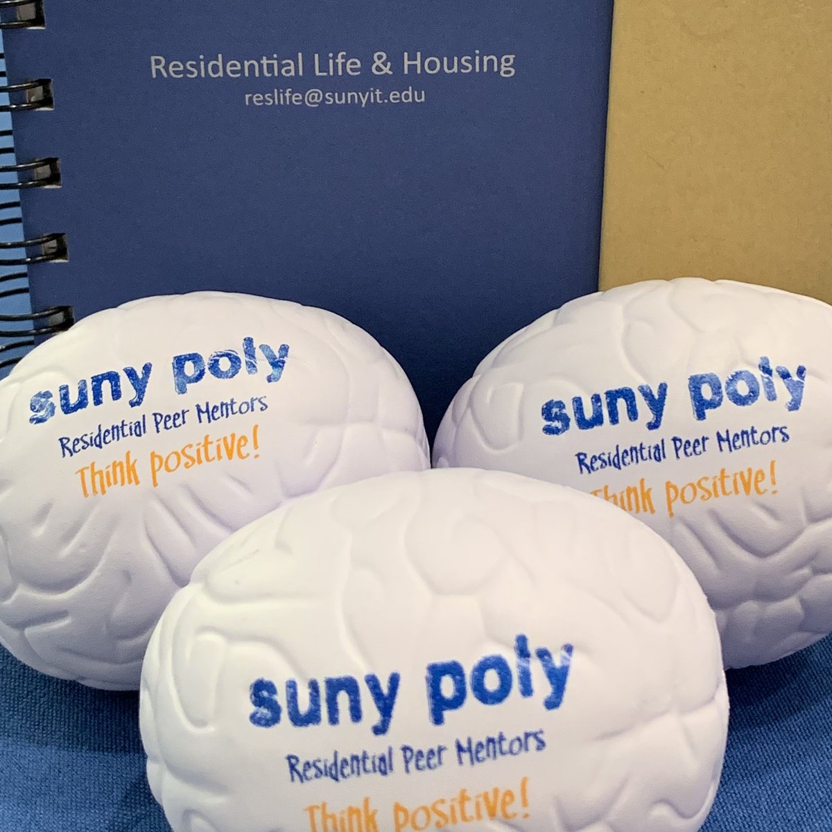 SUNYPolyReslife's tweet image. #ItsNeverToLate in the month of November to get things together. This month we have created and are supporting #SUNYPoly programs about how to get involved, get better grades, be a better person and more. Keep and eye out for these!