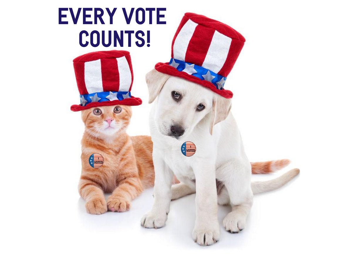 VitalPlanetPets's tweet photo. https://t.co/WdveIDfgWF