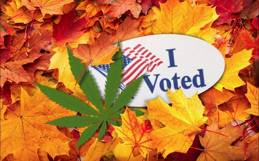dankcreative's tweet image. Did you get out there and Vote yet?
#MuchLove #CannaFam #staylit and Be Well