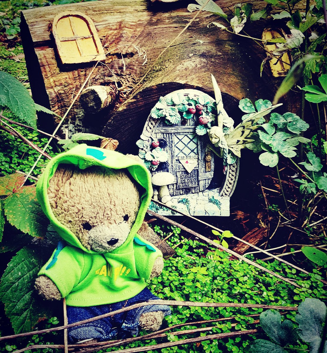 I met a #fairy today at her #fairygarden