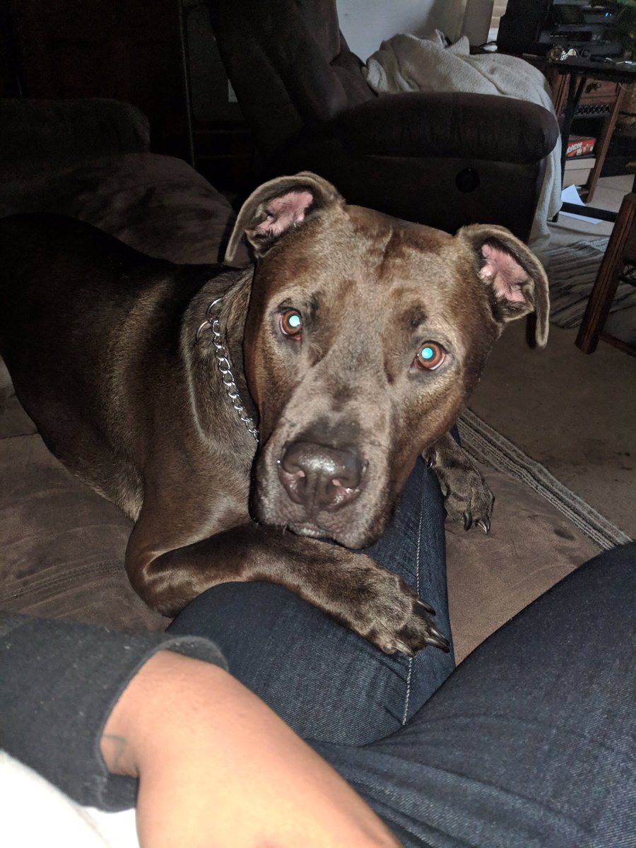 ManagerHines's tweet image. Love of my life!!! Bradley Hines