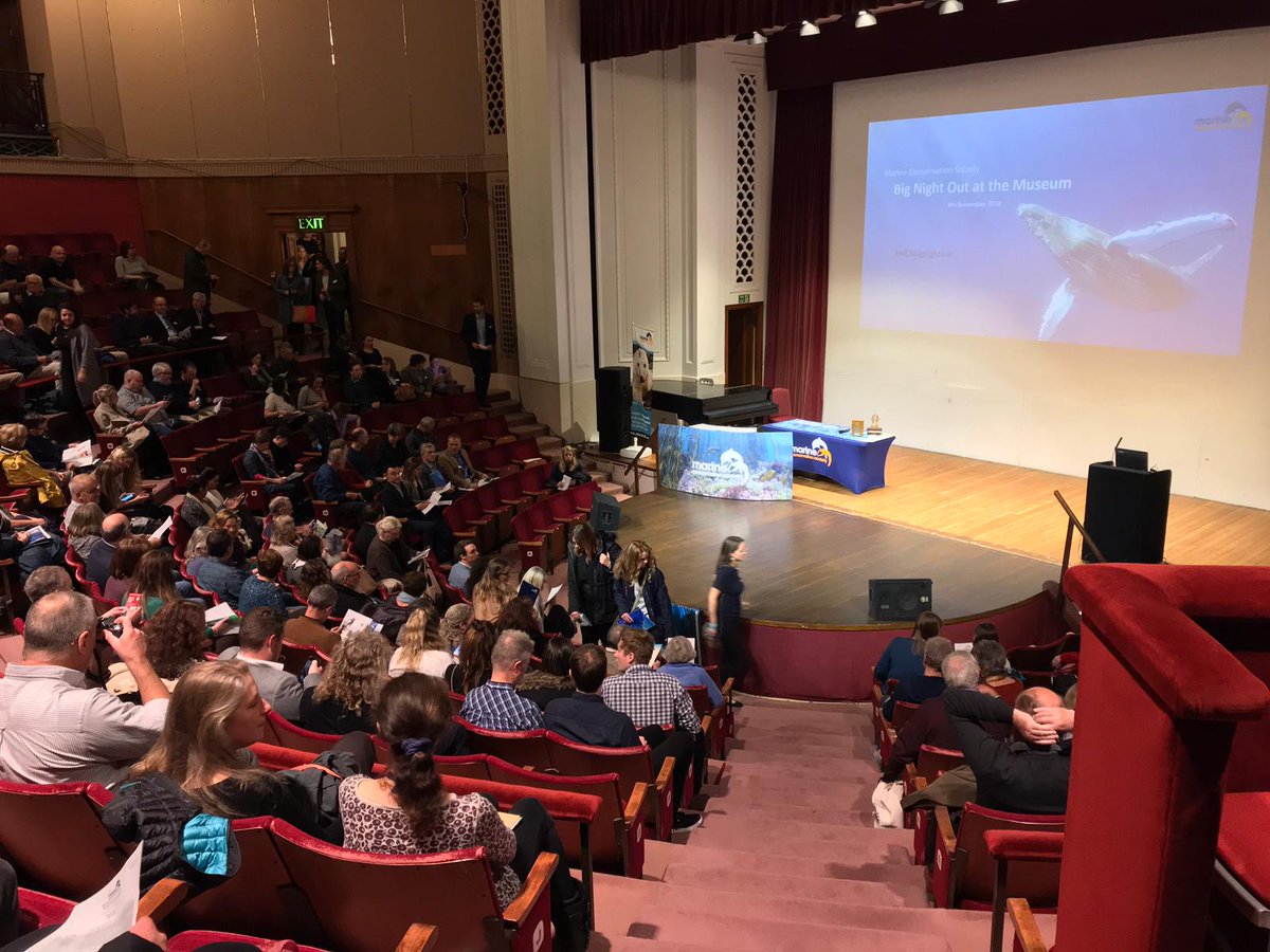 We're ready 🐙
This special evening is dedicated to #oceanlovers 🌊Our amazing volunteers and supporters are the beating heart of marine conservation.

Follow along for all the stories at #MCSBIGNIGHTOUT