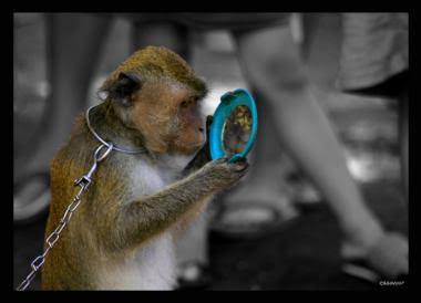 Alangkah baiknya banyak berkaca dahulu sebelum bertindak dan mengambil keputusan , apalagi bawa nama wilayah #EnjoyCikarang