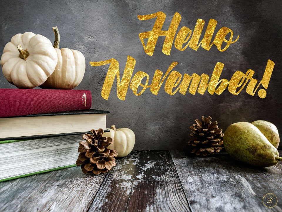 hellolaralogue's tweet image. 🍂Where are you going this November?
Remember to check out my new website and let me know what you think in the comments below! 💟
🆕 laralogue.net 🆕
🏝
🗺
#travelblogger #blog #travel #wanderlust