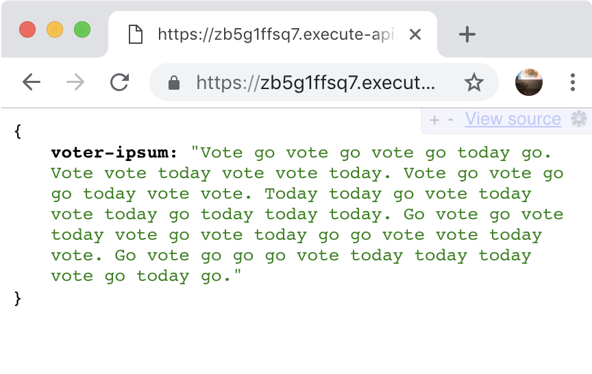 'Voter Ipsum' @goserverless API …7.execute-api.us-east-1.amazonaws.com/dev/vote #NoServerNovember #ElectionDay #IVoted