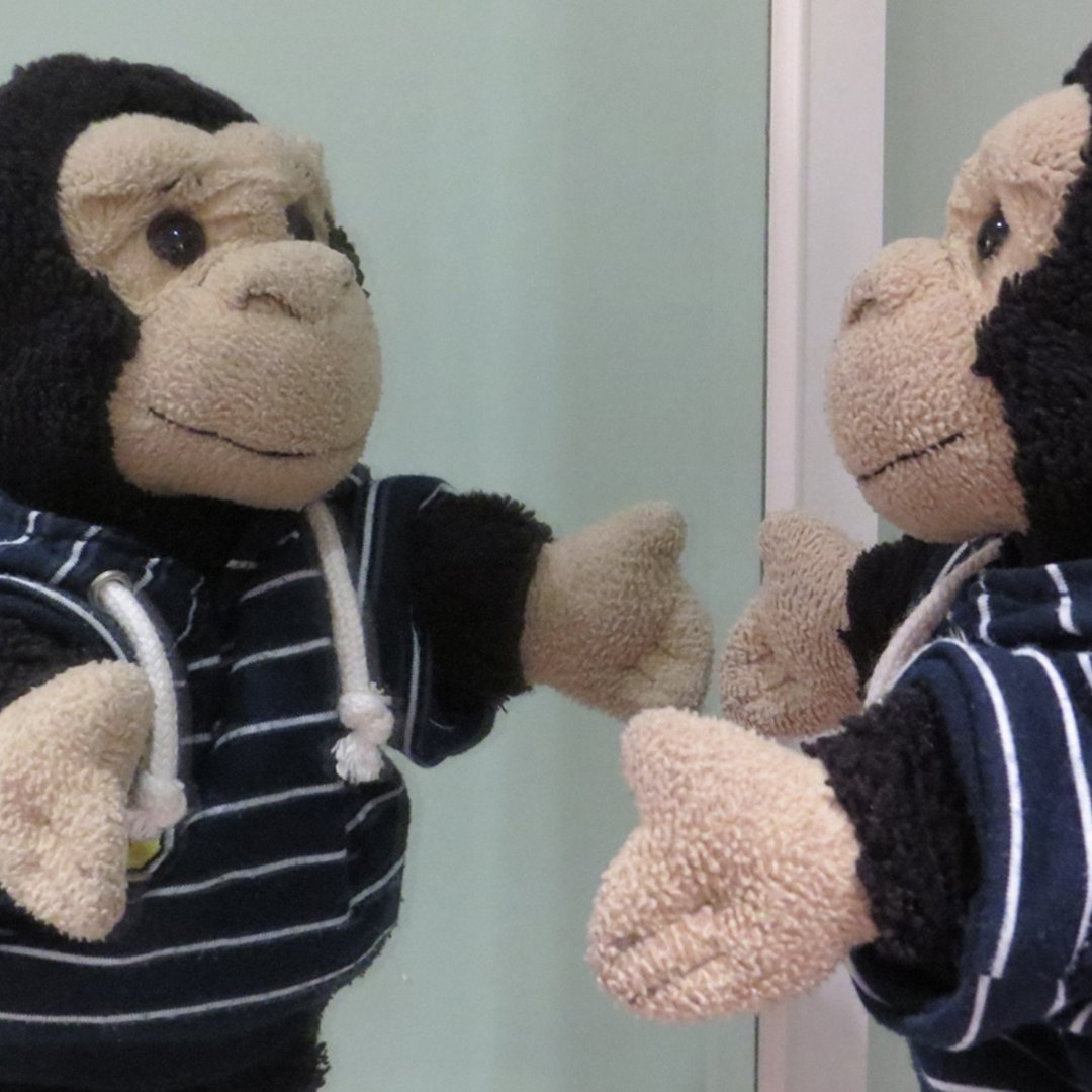 StanleyTMonkey photo