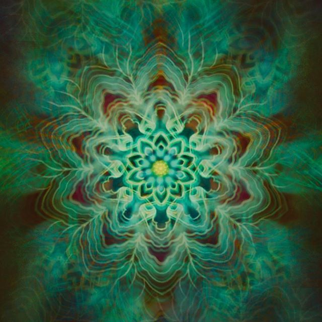 LongLiveLVKA's tweet photo. The flower opens... https://t.co/hA5MZBDXKy https://t.co/nivUGcB4Qs