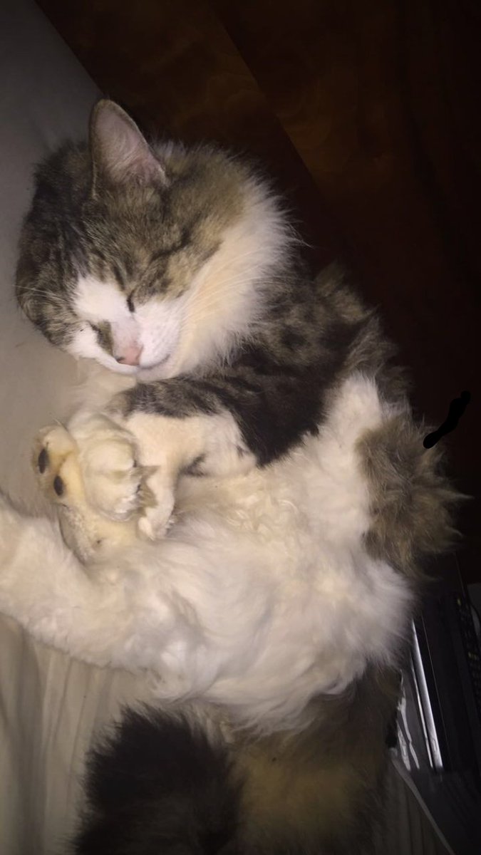 Angus Keane tweet media