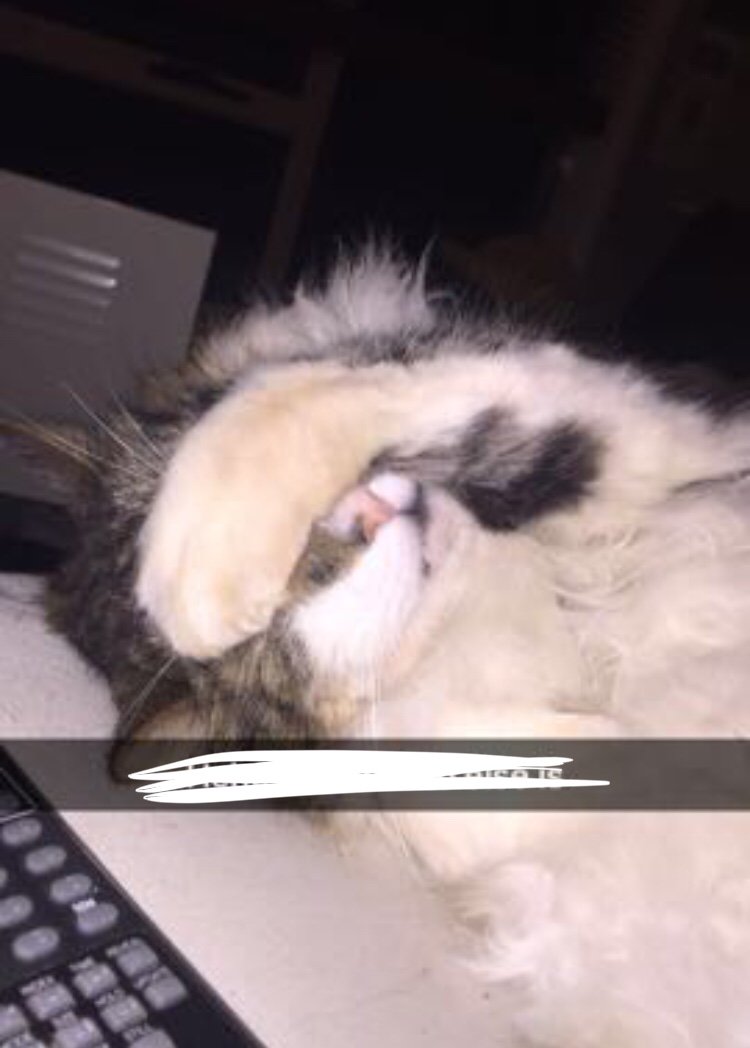 Angus Keane tweet media