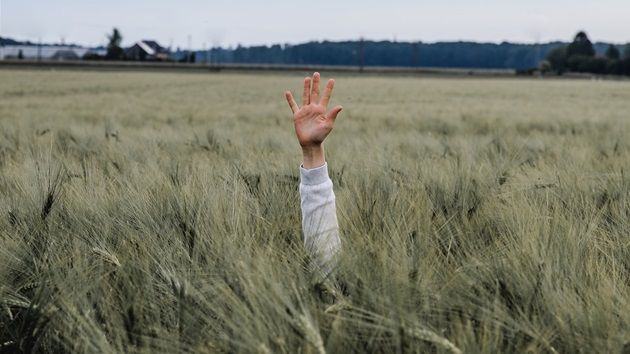 tkbeyond's tweet image. “The church’s primary message should never be “tell us what you need and we’ll get it for you”, but “you know that deep, gnawing ache beneath your immediate feelings? Jesus wants to meet you there.”” buff.ly/2AFQPhL @KarlVaters #feltneeds #gospel #Jesus