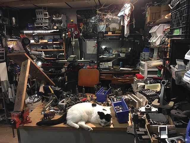 There is no doubt in my mind that I ended up with the right cat. 
#goodcompany #shopcat #ifallasleeptheretoo #workshop #ilivehere #shopcatsofinstagram #metal #sculpture #kitty ift.tt/2D8KdtN