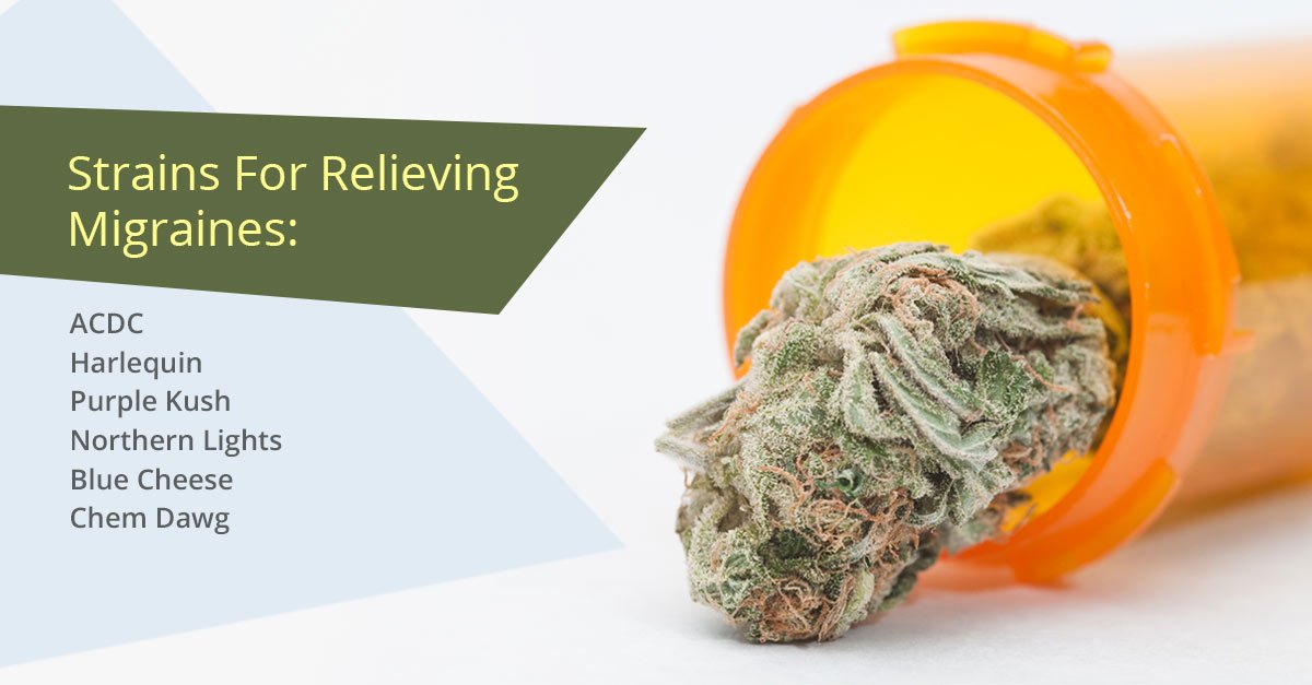SmokePipeShop's tweet photo. A migraine will throw a wrench in your whole day! These strains are here to save the day and provide fast and safe pain relief #Migraines #Headaches #Migraine #PainRelief #MedicalMarijuana https://t.co/0OBn7fybhG