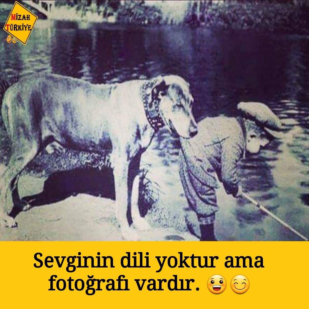 Bende Bozuk Vardı Sen Kendini Neden Harcadın
